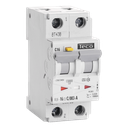 Diff. aut. Teco 2p 16A Courbe C Type A 30mA