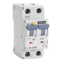 Disj. diff. Teco 2p 20A Courbe C Type A 100mA