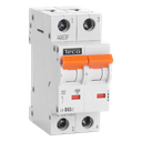 Automaat Teco 2P 63A 10kA Curve B