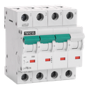 MCB TC-TECO 3N 6A Type F NBN C 61142