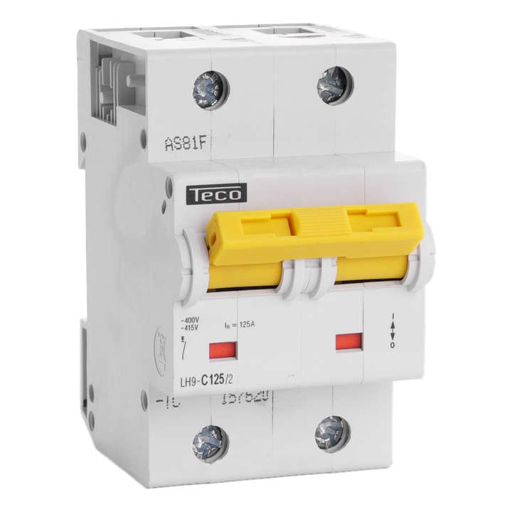 Disjoncteur Teco 2P 125A 15kA Courbe C