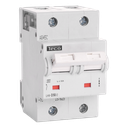 Sicherungsautomat Teco 2P 50A 25kA Kurve D