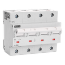 Disjoncteur Teco 4P 50A 25kA Courbe D