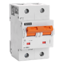 Disjoncteur Teco 2P 63A 25kA Courbe D