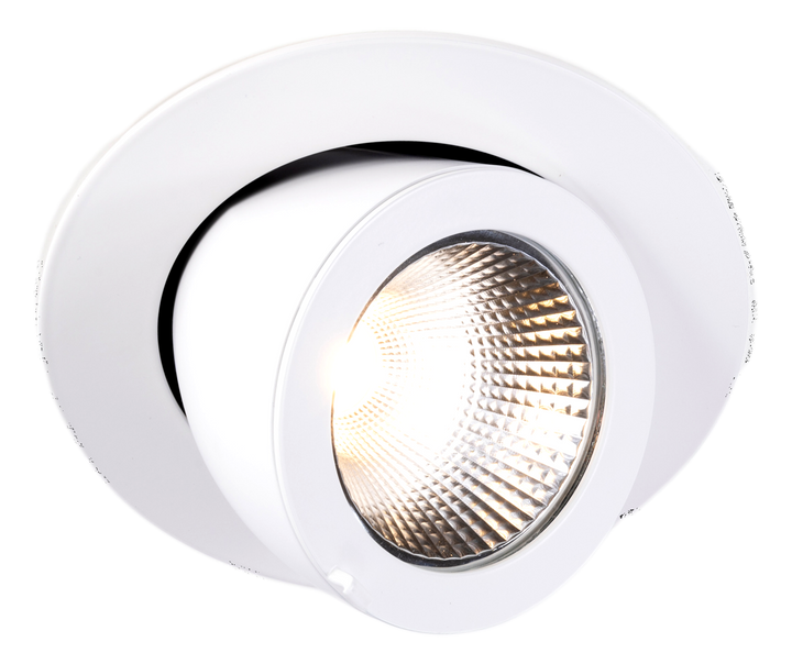 DL Extract.TECO LED SATURNO 6'' 30W 36° 4000K Ra90 sans driver + Female con. 15cm