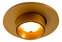 (AS)OZI + Fixed driver 3000K Goud