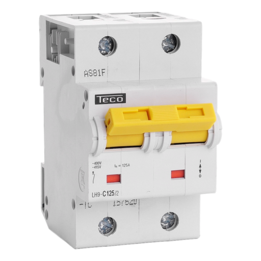 [/LH1252C] Sicherungsautomat Teco 2P 125A 15kA Kurve C