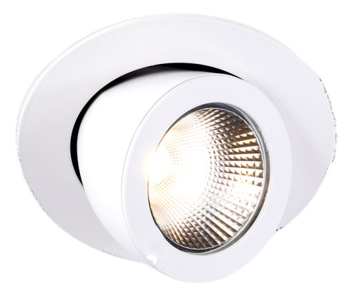 [/TLK630N036X0] DL Extract.TECO LED SATURNO 6'' 30W 36° 4000K Ra90 sans driver + Female con. 15cm
